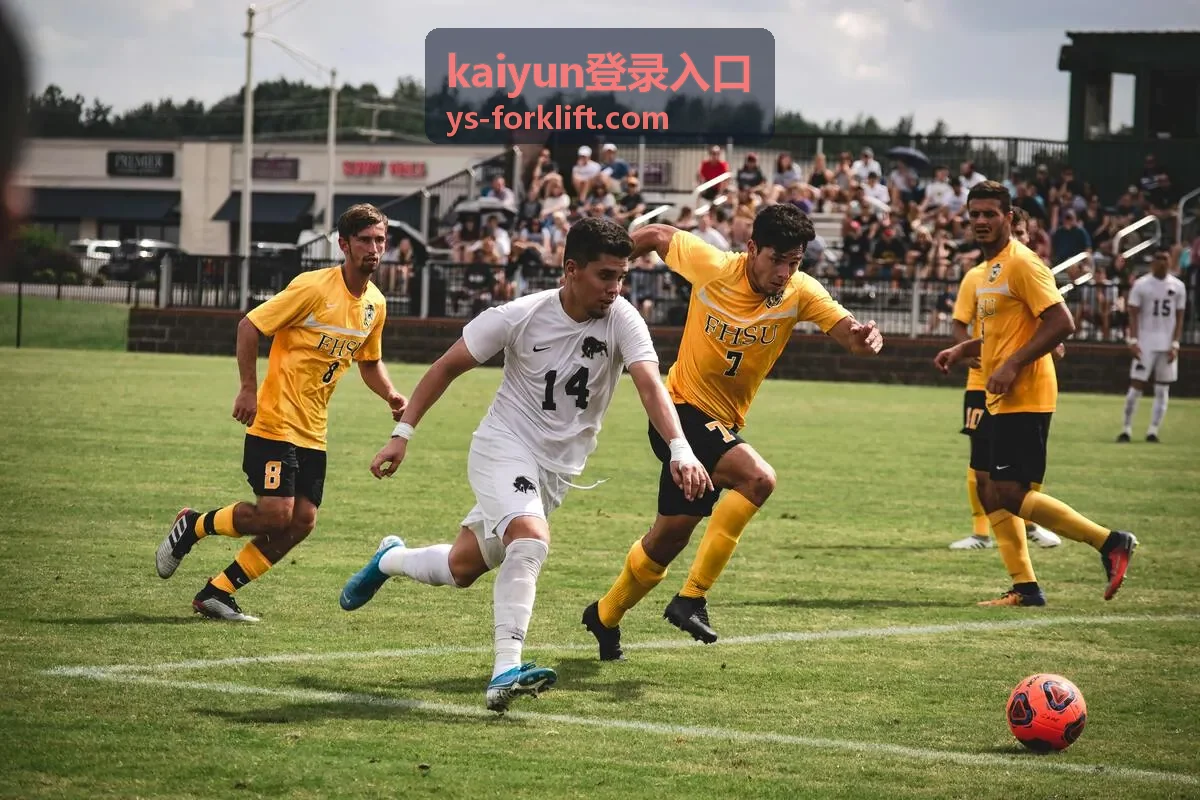 kaiyun登录入口 叉车驾驶员复训与安全作业指导